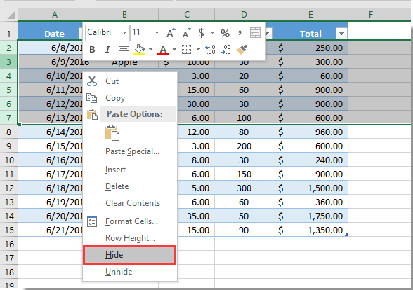 How to hide rows based on today’s date in Excel?