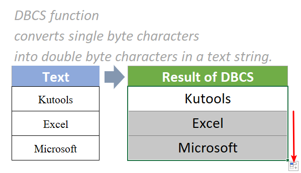 dbcs-funkcija 3